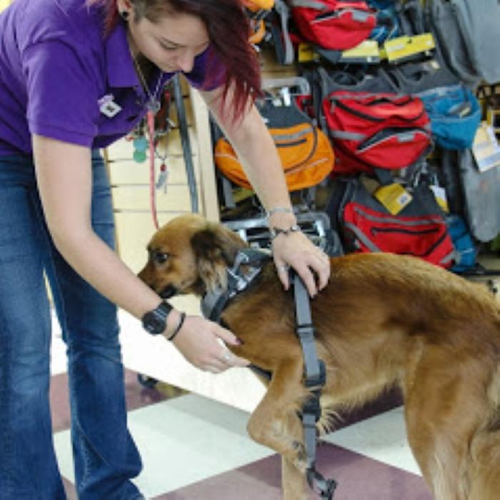 Wag N' Wash Natural Pet Food & Grooming - Phoenix, AZ