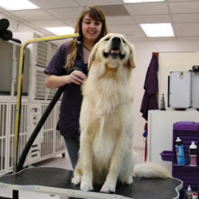 Wag N' Wash Natural Pet Food & Grooming - Phoenix, AZ