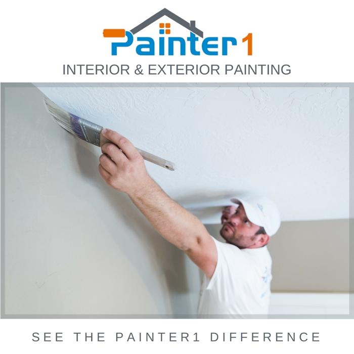 Painter1 of Dripping Springs - Dripping Springs, TX