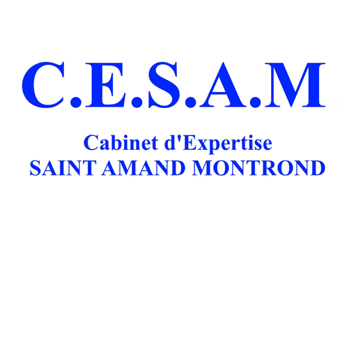 Cesam Diagnostics - Diagnostic immobilier Saint Amand Montrond Diagnostiqueur, Plomb DPE Amiante expert en immobilier