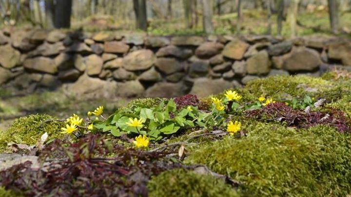 Herrig Bestattungen e.K., Rockelsgasse in Lauterbach (Hessen)