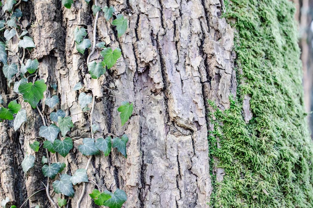 Almit GmbH | Lotdraht Lotpaste, Unterer Hammer in Michelstadt