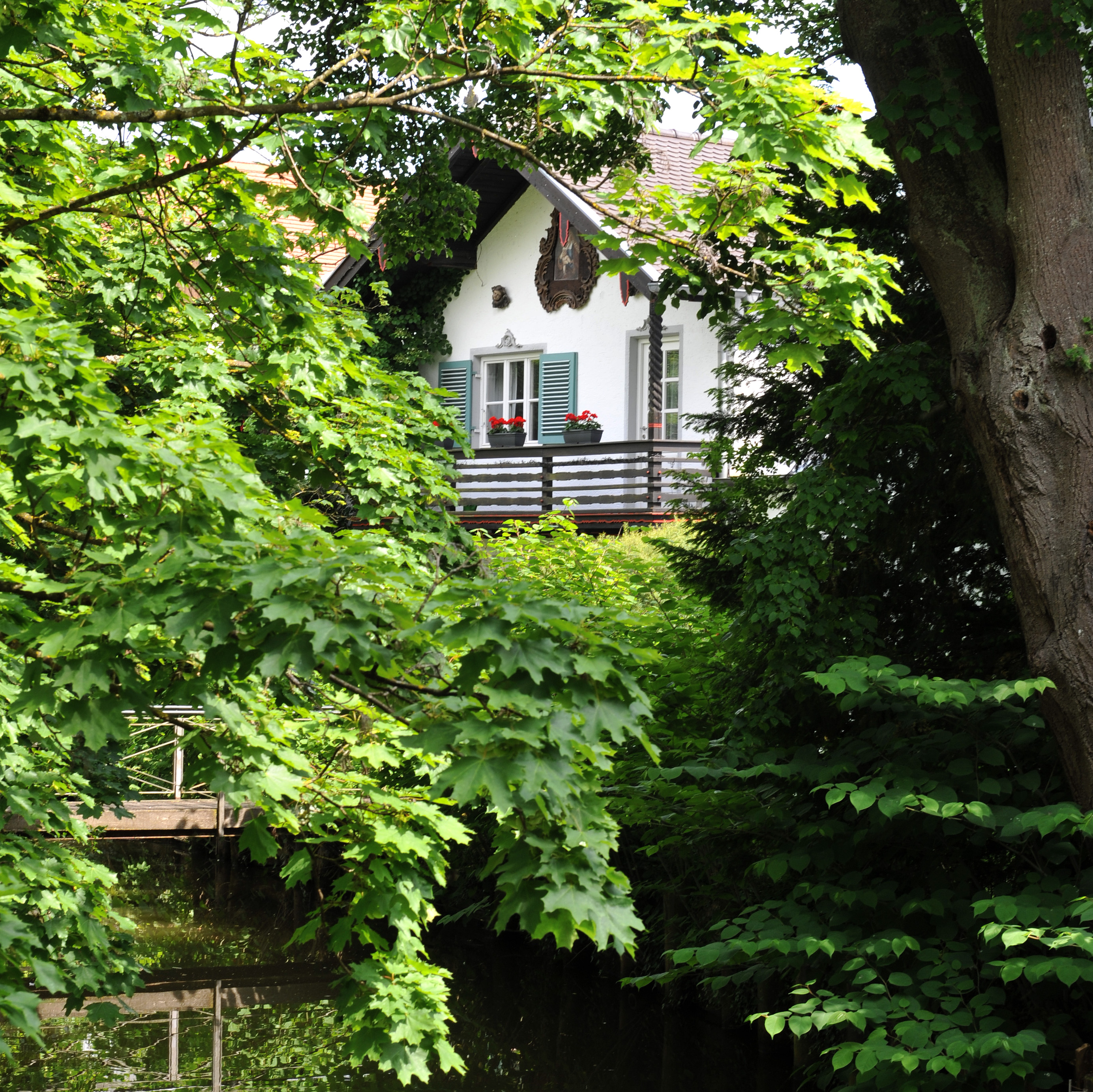 Galerie-Thumbnail