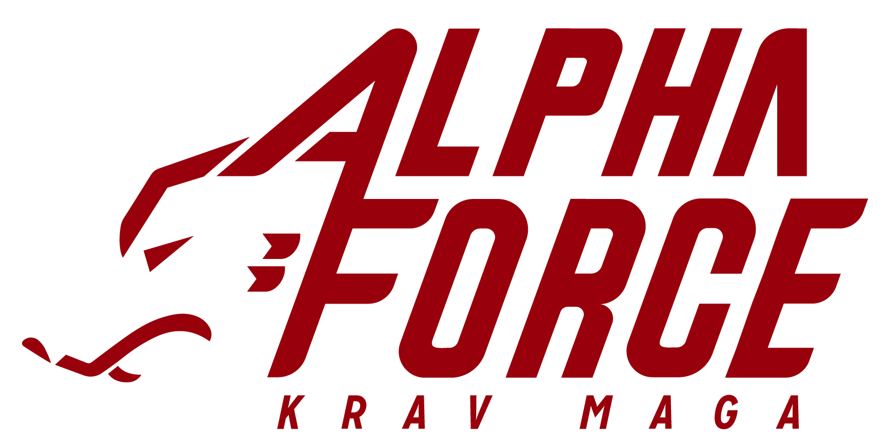 Alpha Force Krav Maga Image