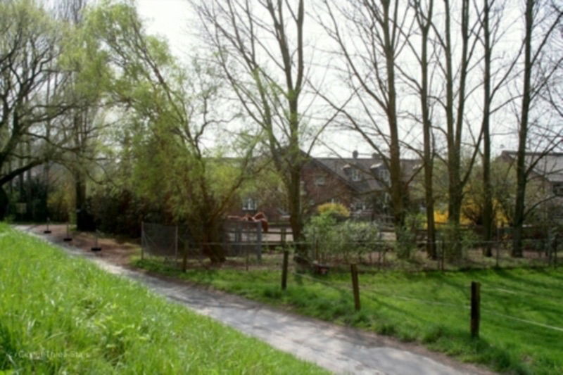Galerie-Thumbnail