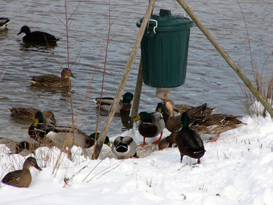 Schmid Futterautomaten