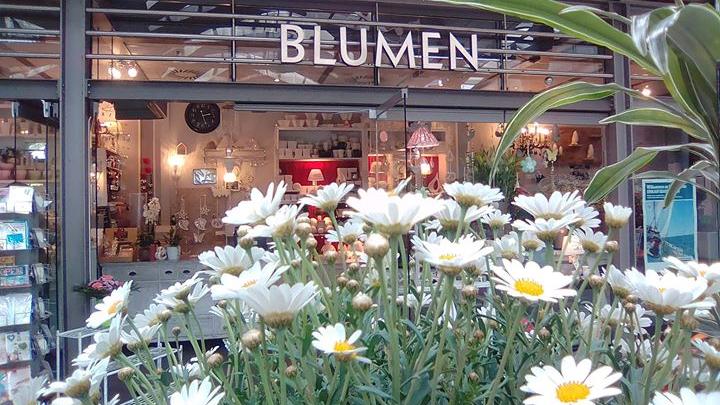 Blumen am Gleis 2, Sophienblatt in Kiel
