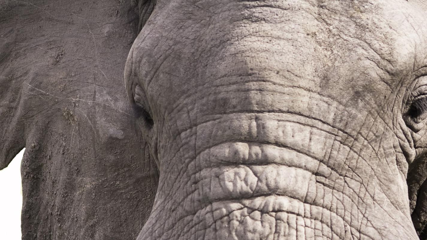 WK Hydraulik Walter + Kieler GmbH, Farsleber Straße in Zielitz