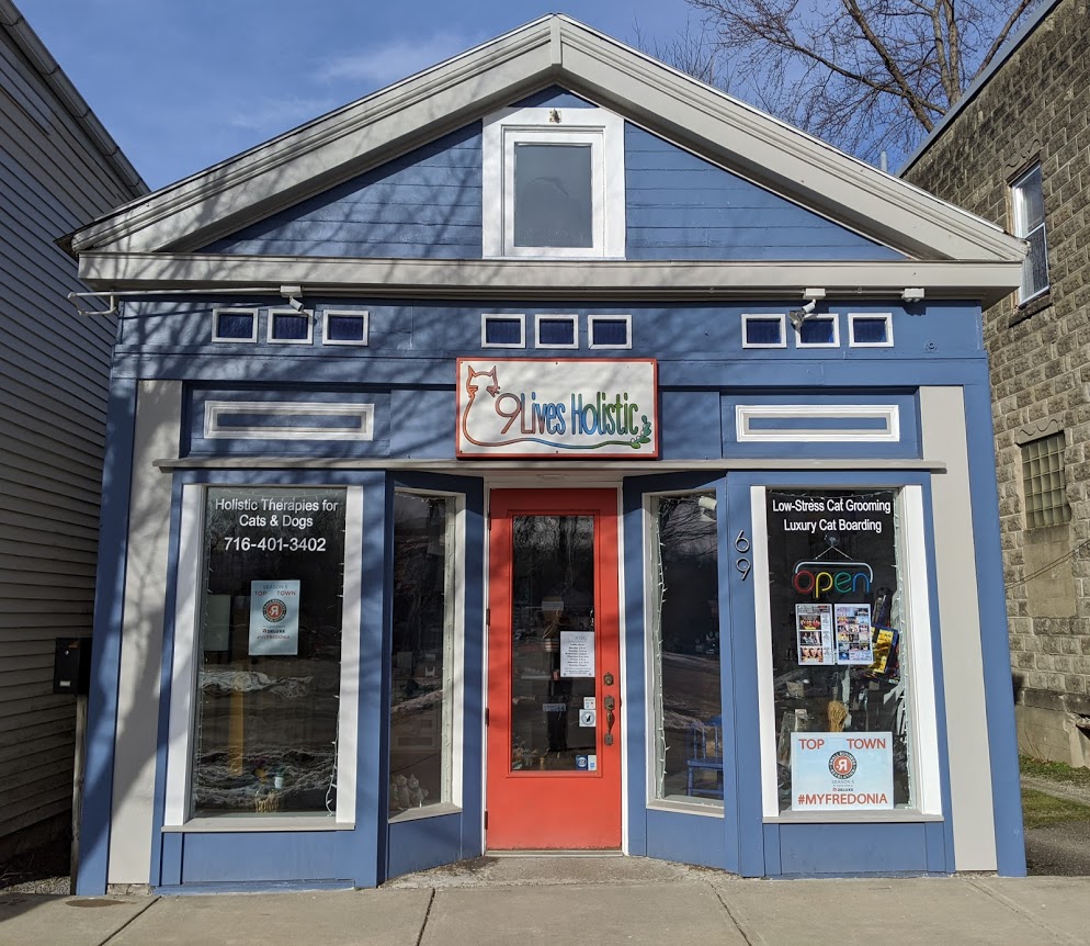 9 Lives Holistic Image