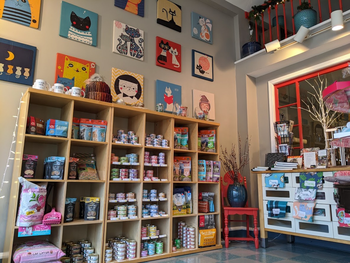 9 Lives Holistic Image