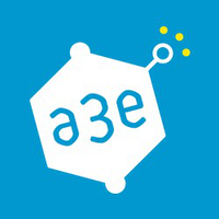 A3E CONSULTING Autres services