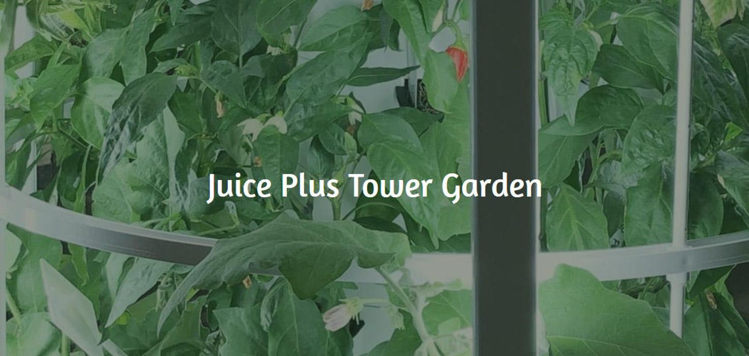 Whole Food Nutrition On The Go - Attleboro, MA