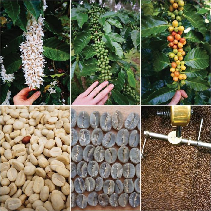 Big Island Coffee Roasters - Mountain View, HI