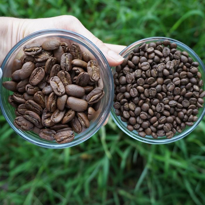 Big Island Coffee Roasters - Mountain View, HI