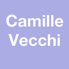 Vecchi Camille Etablissements de soins, services de la Santé