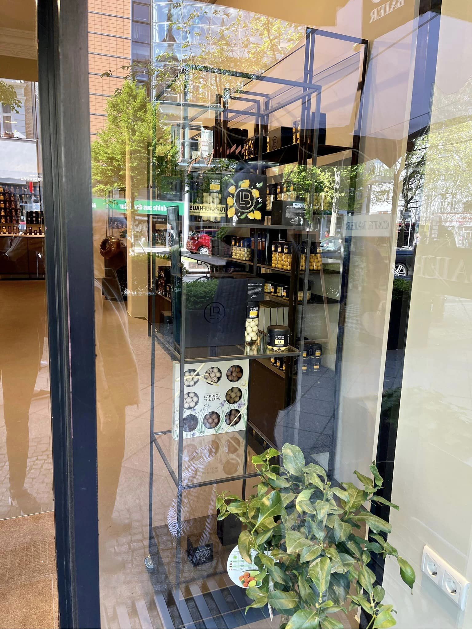 Galerie-Thumbnail