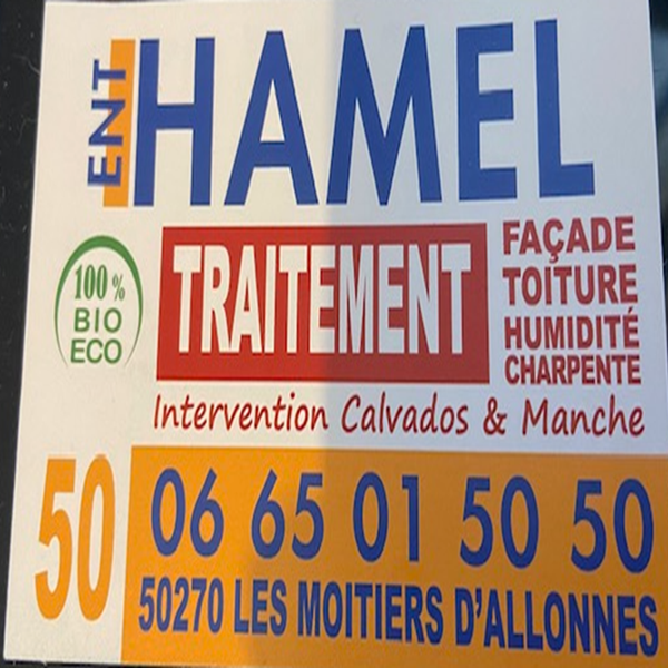 Hamel Nicolas Expert