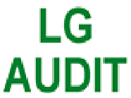 L G Audit