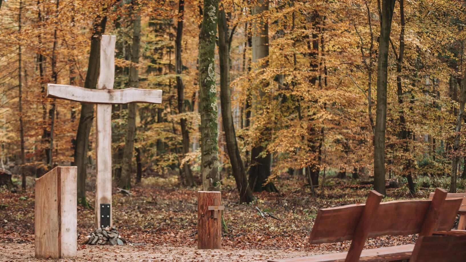 FriedWald Goch-Tannenbusch, Bedburger Straße in Goch