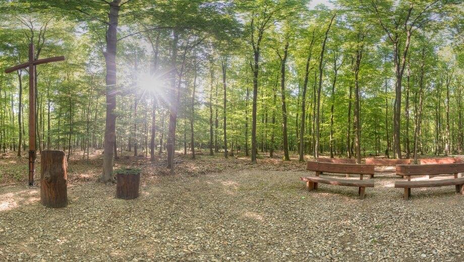 FriedWald Meroder Wald, Schevenhüttener Straße in Düren
