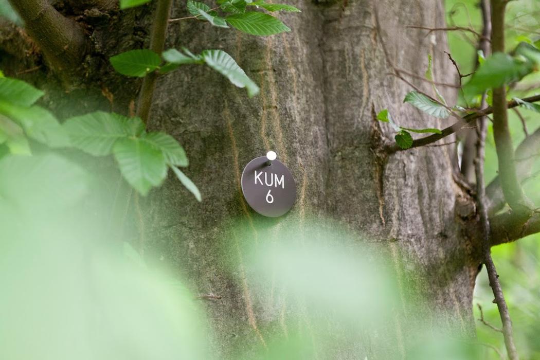 FriedWald Schöcklland, Meierhöfenstraße in Kumberg