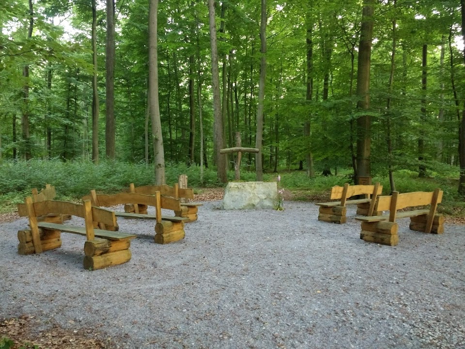 Galerie-Thumbnail