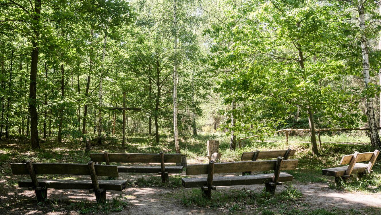 FriedWald Dudenhofen, Jahnstraße in Dudenhofen