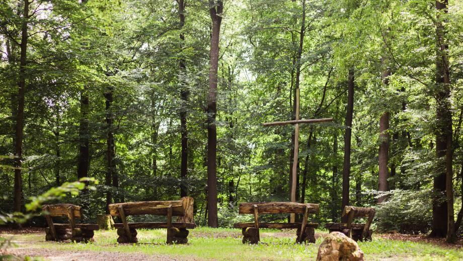 FriedWald Herborn, Lindenstraße in Hirschberg