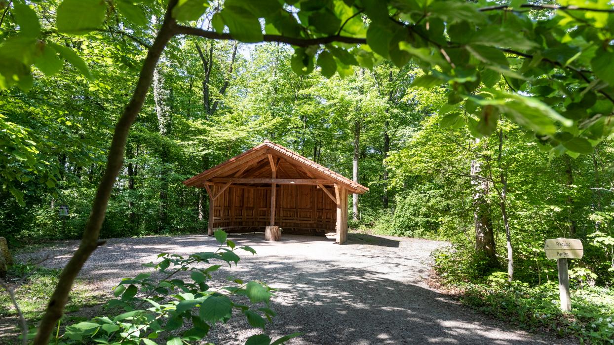 FriedWald Burg Plesse, Plessestraße in Bovenden