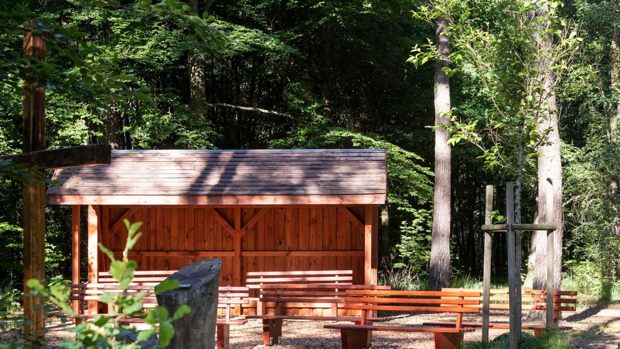 FriedWald Planitzwald, Neuweißenborner Weg in Bennewitz