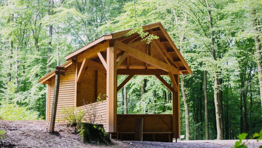 FriedWald Saarbrücken, Kirschheck in Saarbrücken