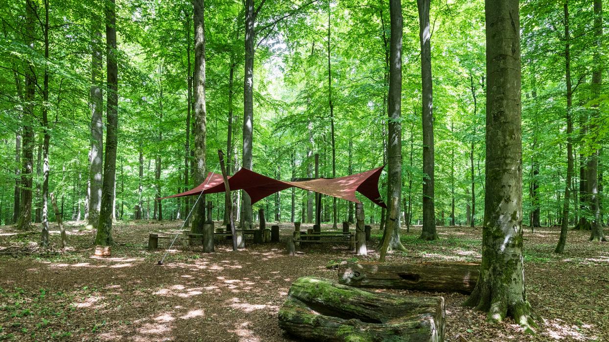 FriedWald Kisdorf, Elmenhorstweg in Kisdorf