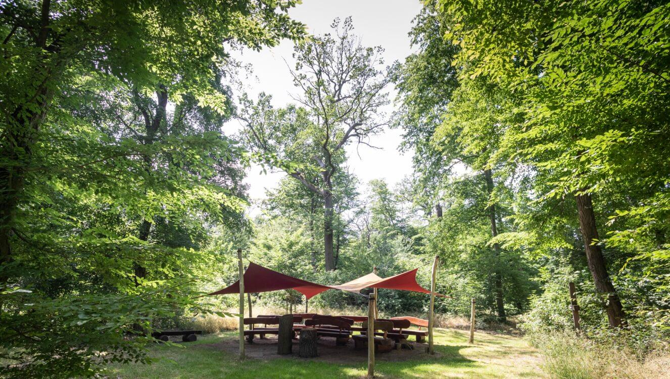 FriedWald Schönebeck (Elbe), Elbenauer Straße in Schönebeck (Elbe)