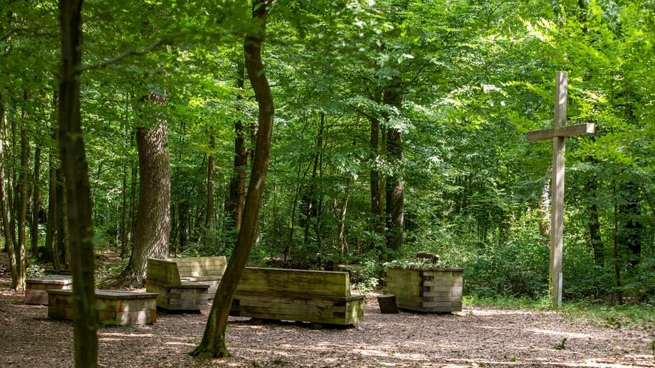 FriedWald Dessau-Wörlitz, Am Kapenschlößchen in Oranienbaum-Wörlitz
