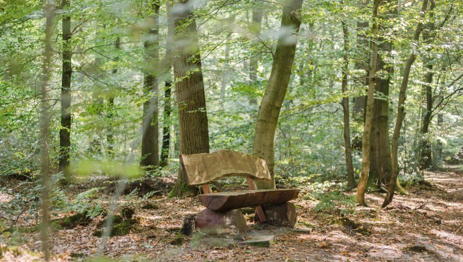 FriedWald Hasbruch, Linteler Straße in Hude