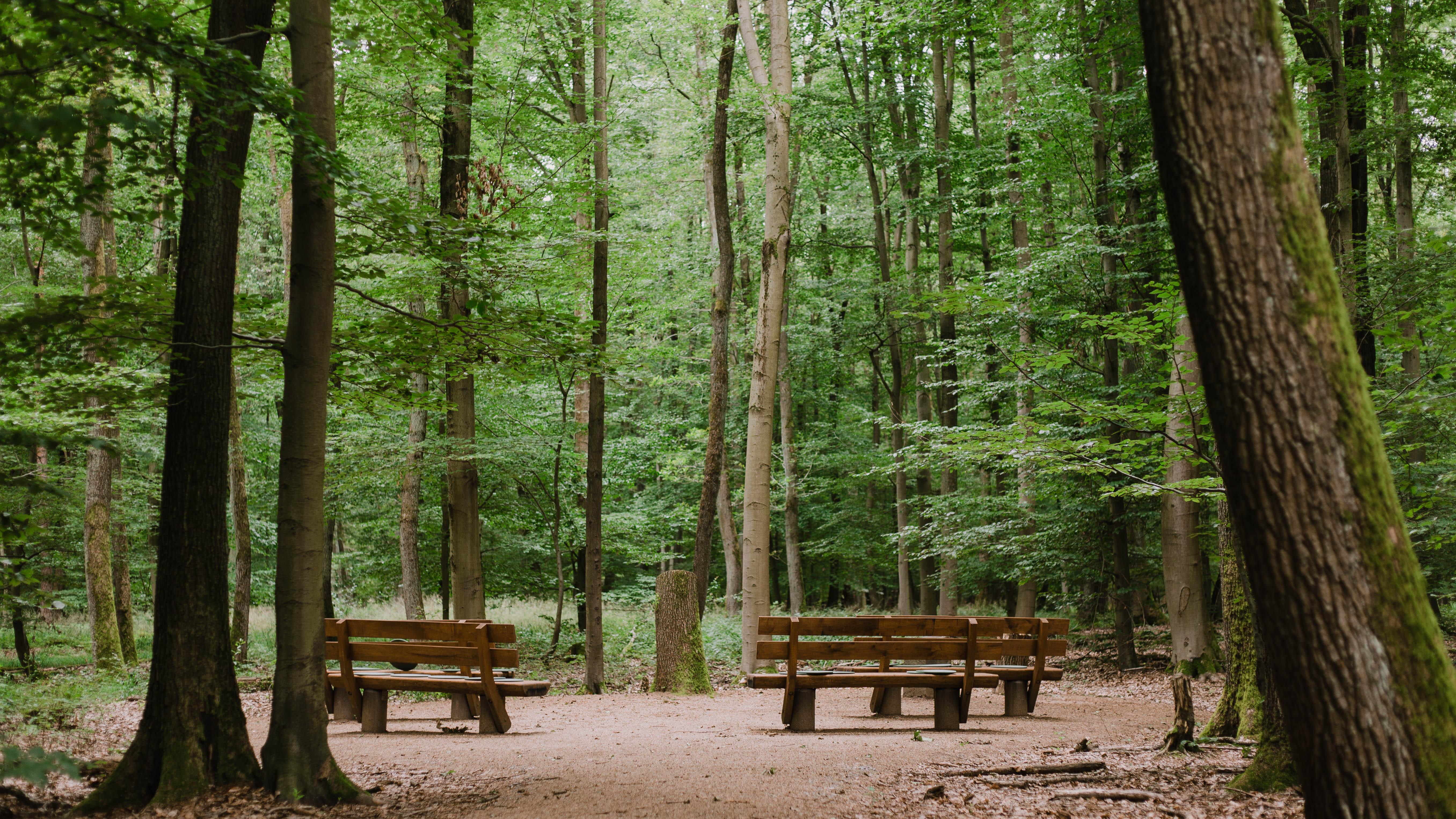 FriedWald Dietzenbach, Velizystraße in Dietzenbach