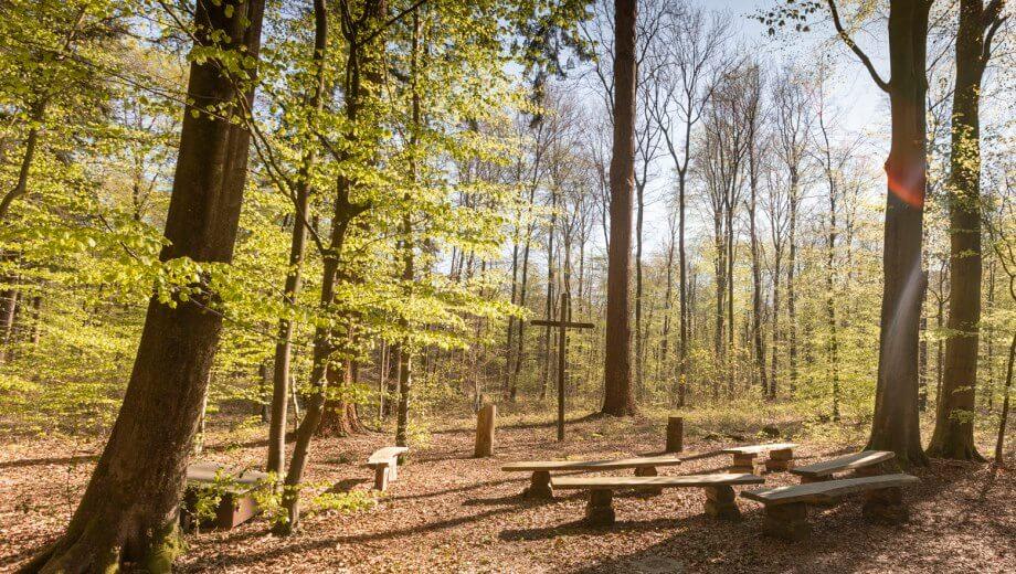 FriedWald Bremervörde, Waldstraße in Bremervörde