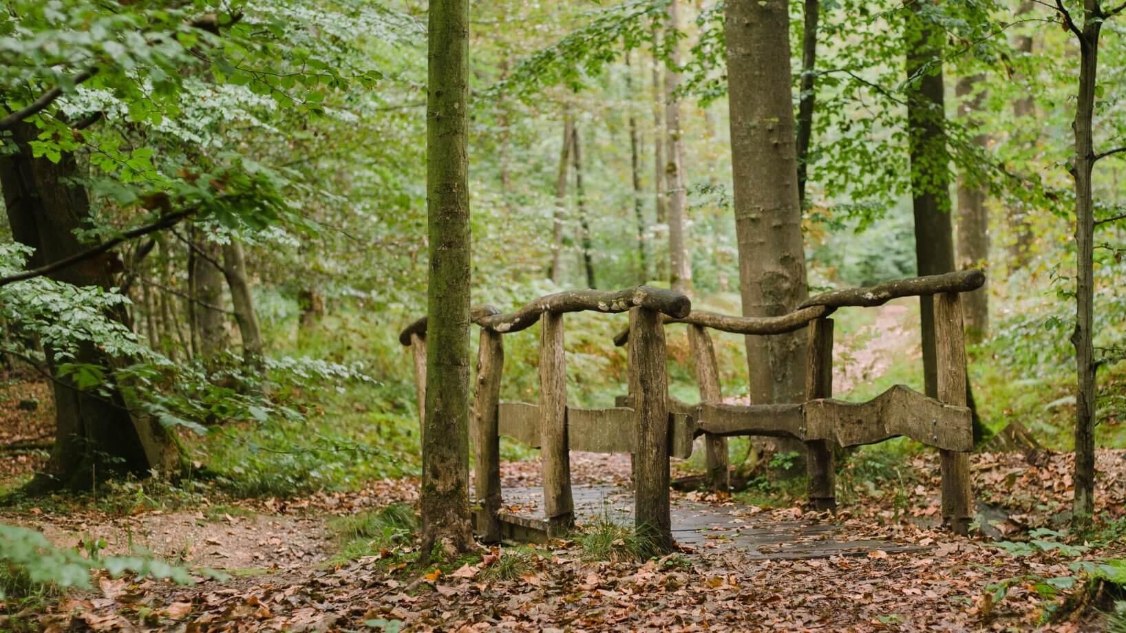 FriedWald Lohmar-Heide, Rothenbacher Hof in Siegburg