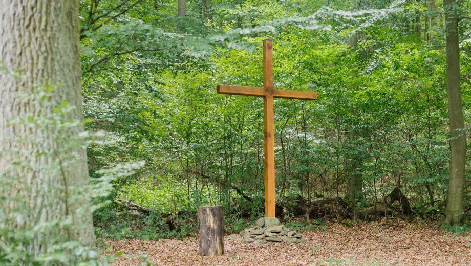 FriedWald Lauterbach, Vogelsbergstraße in Lauterbach (Hessen)