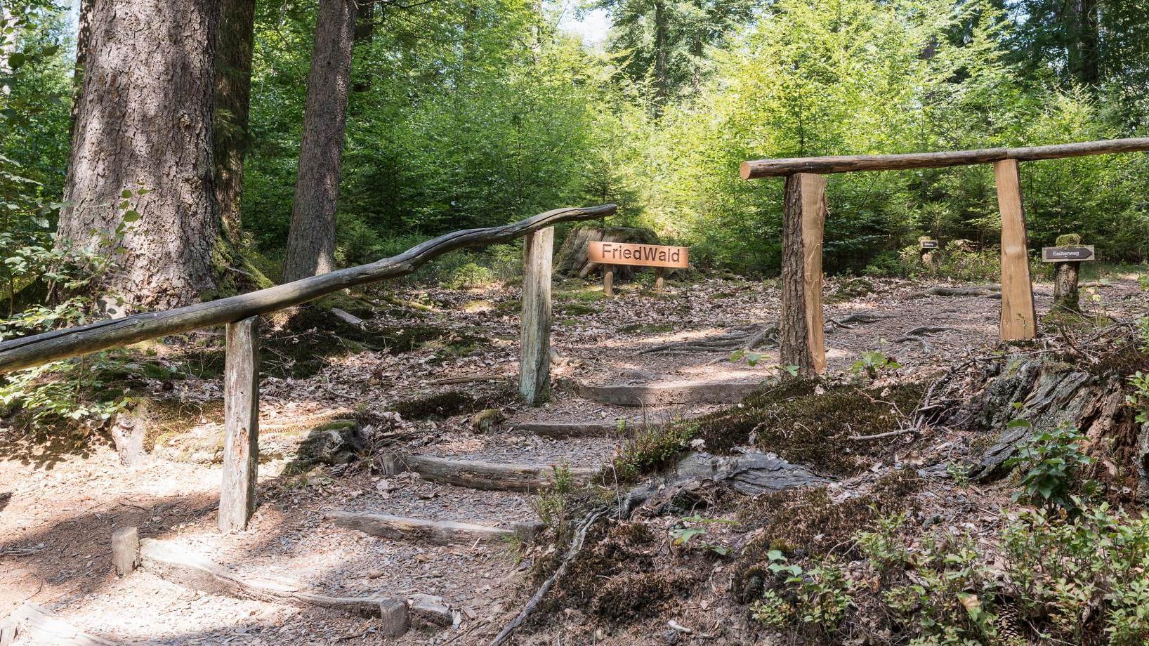 FriedWald Wildenburger Land, Krottorfer Straße in Friesenhagen