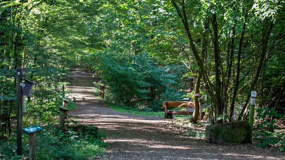 FriedWald Bramsche, Gehnstraße in Bramsche