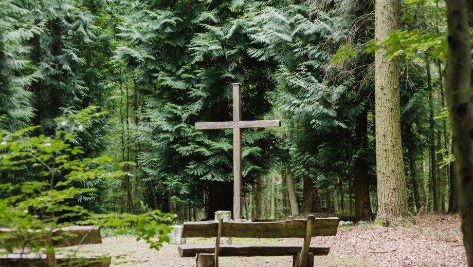 FriedWald Waldhessen, Rengshäuser Straße in Ludwigsau