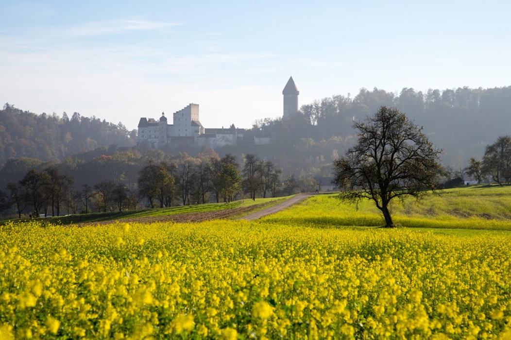 FriedWald Clam, FriedWald in Achatzberg