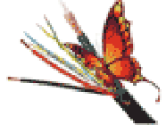 Papillon Joël Expert