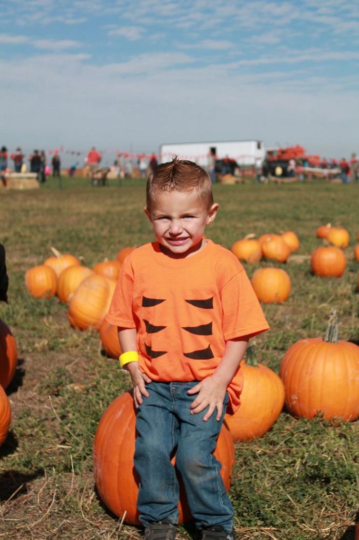 Little Tiger Academy Logo