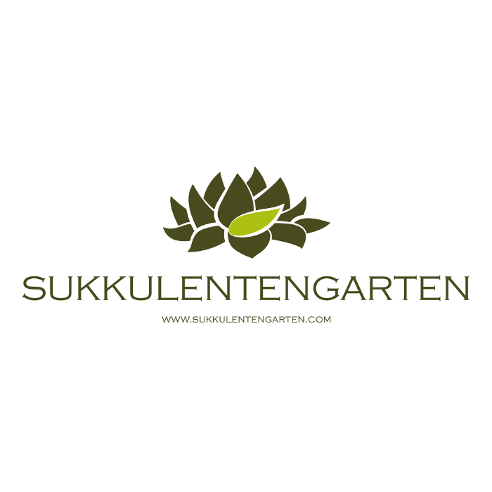 Bild zu Sukkulentengarten in Wachtendonk Bild zu Sukkulentengarten in Wachtendonk