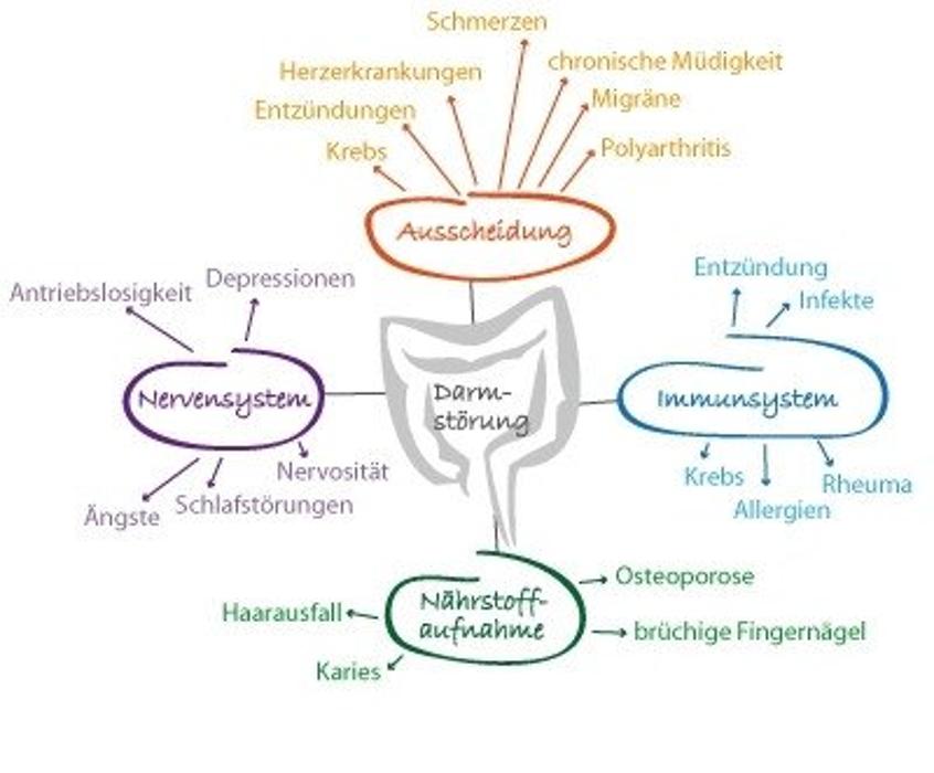 Heilpraktikerin Gabriele Heise Ganzheitliche Heilpraxis, Theo-Neubauer-Straße in Oberhof