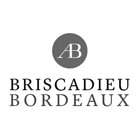Briscadieu Bordeaux établissement financier