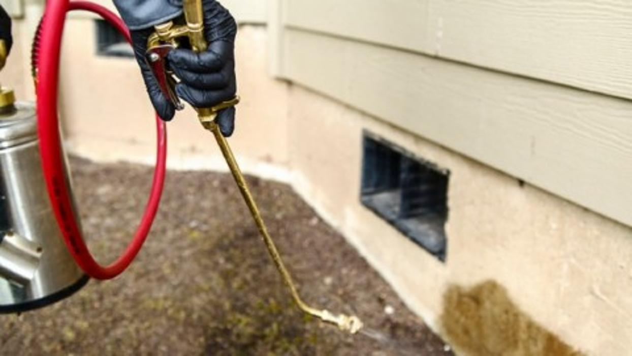 JP Pest Control - Mayhill, NM