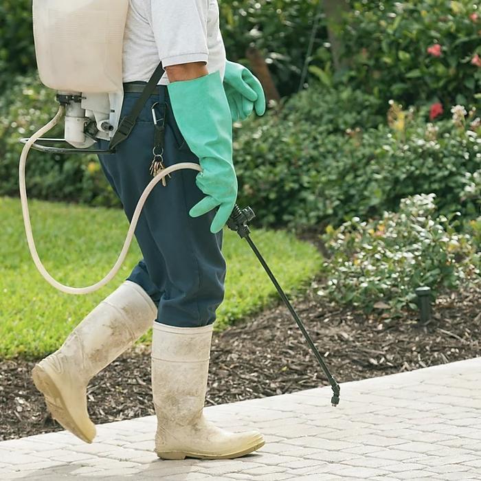 JP Pest Control - Mayhill, NM